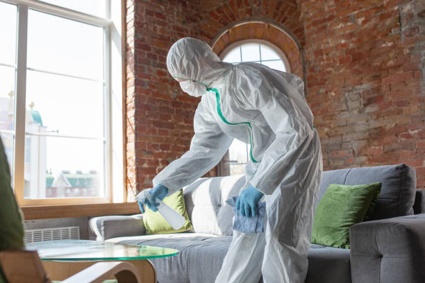 Best Forensic Mold Investigation  in Little Silver, NJ